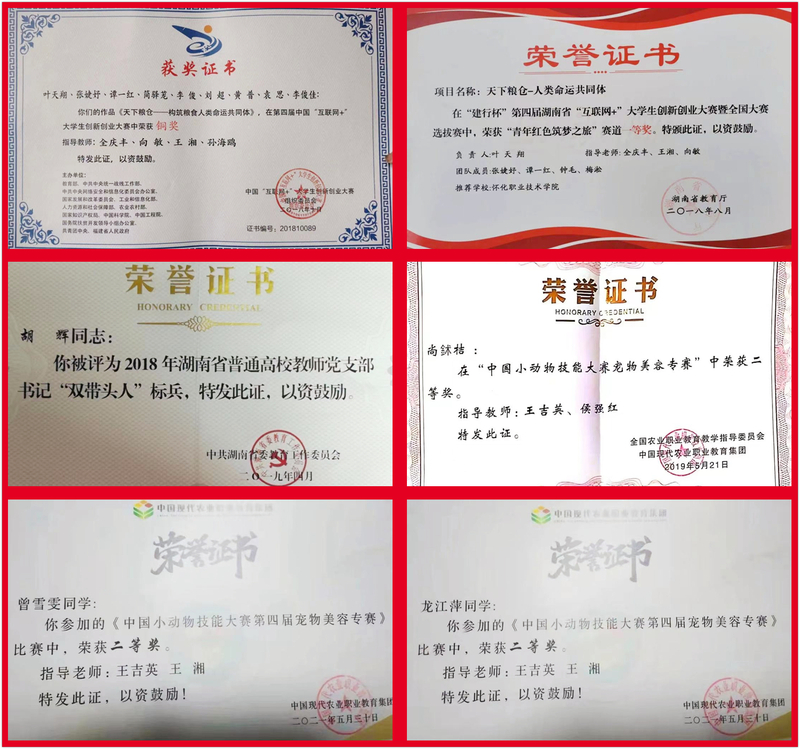 2荣誉拼图.jpg